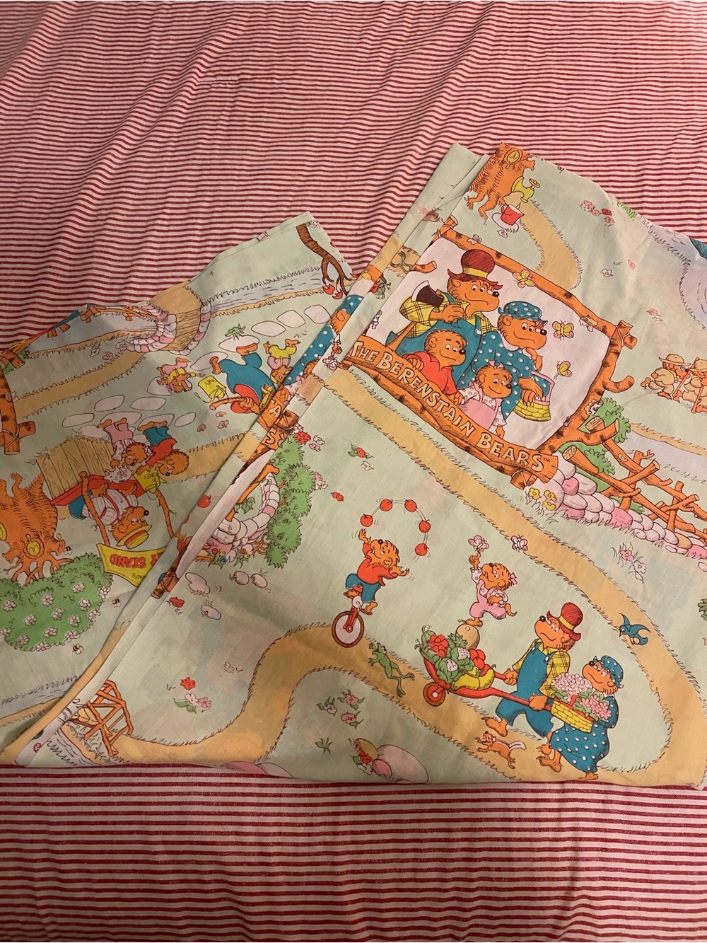 Vintage Rare Berenstein Bears Full Fitted Sheet